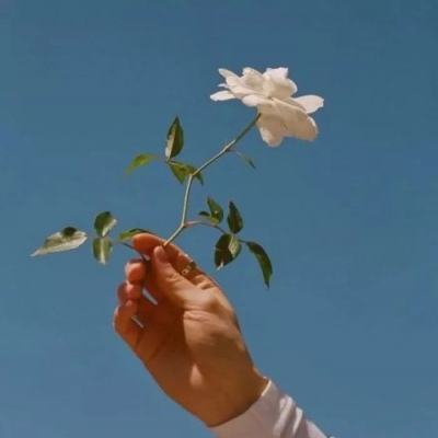 诸神黎明手游下载