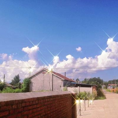 燎刃游戏下载